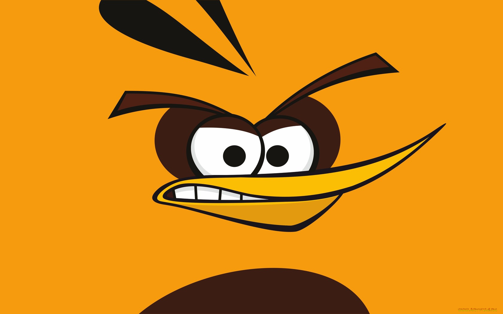 angry, birds, , 